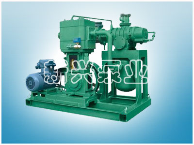 JZJW型羅茨-立式無油往復(fù)泵機組